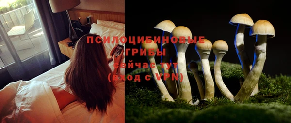 соль ск Ладушкин