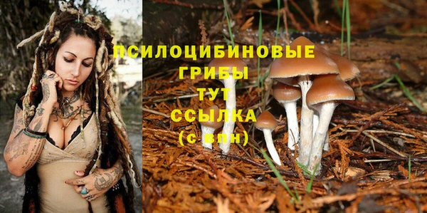 соль ск Ладушкин