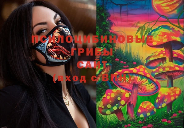 винт Липки